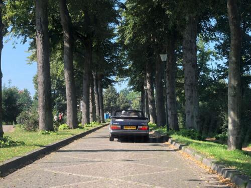 saab-cabrio-rally-2021-11
